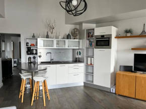 Superbe appartement proche du Marais